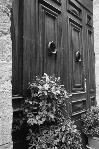 Black and white_0025